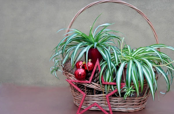 Informele Ongebruikelijke Kerstkaart — Stockfoto