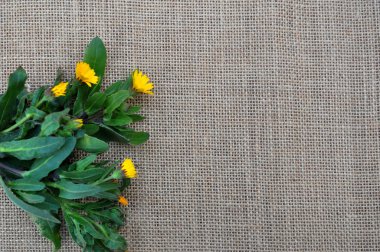 Vahşi bahar otlar üzerinde bir çuval bezi