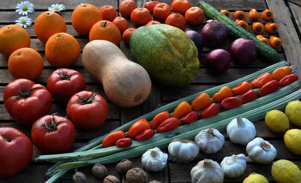 Ряды Разноцветных Фруктов Овощей — стоковое фото
