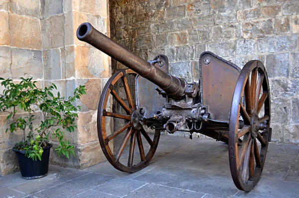 Eighteenth Century Cannon Park Outdoors — Stock Photo, Image