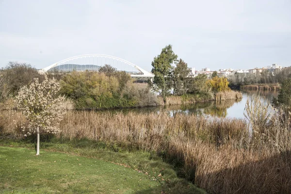 Fiume Guadiana Merida Spagna — Foto Stock