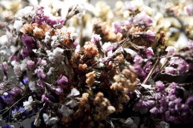 Soyut Kompozisyon içinde çiçek kurutulmuş