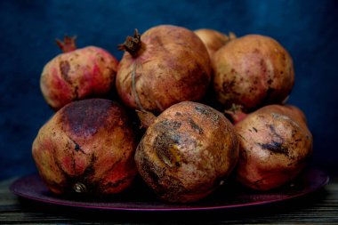 kurutulmuş ve unutulmuş el bombası kiler