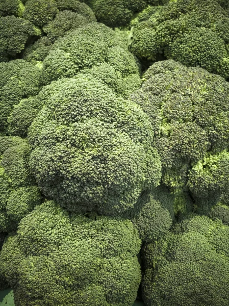 Big Bunch Broccoli — Stock Photo, Image