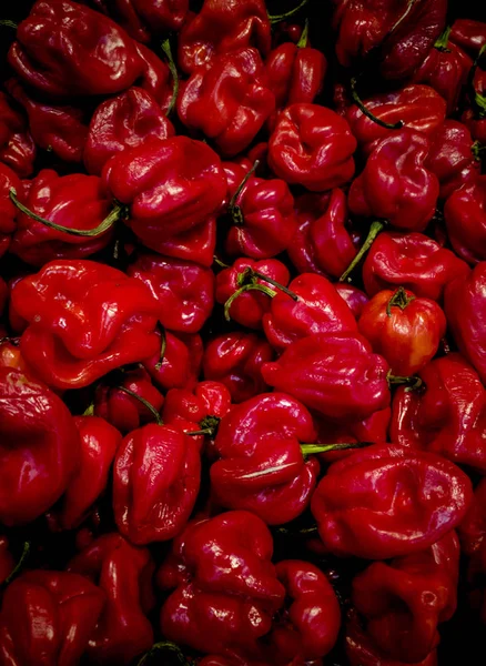 baharatlı biber habanero içinde belgili tanımlık çarşı
