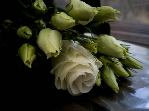 Pretty Eustoma Lisianthus Fundo Simples — Fotografia de Stock