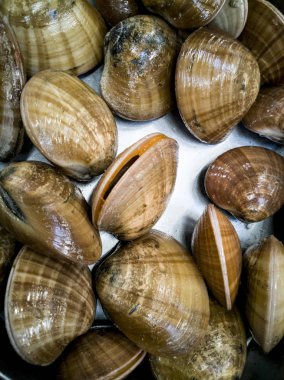 ince kabuk istiridye balık Market