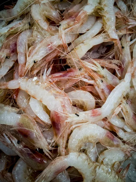 Taze karides balık Market