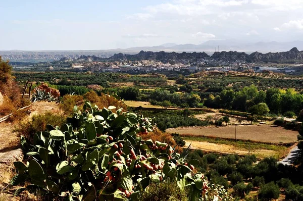 Paysage Avec Forêt Collines — Photo