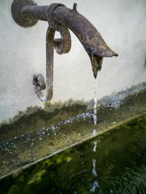 sığır lar için antik yalak