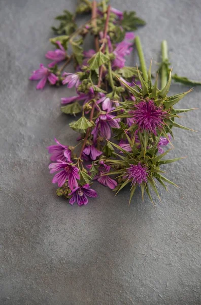Flores Silvestres Púrpuras Sobre Una Superficie Metálica Gris — Foto de Stock