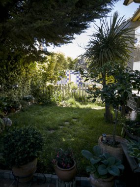 bahçede karanlık bir köşe bir sprin gün