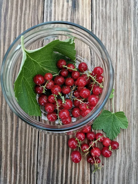 Rote Johannisbeeren Und Glasschale Auf Holztisch — Stockfoto