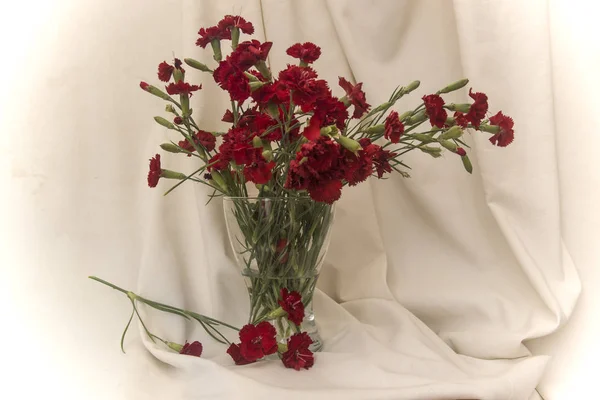 生地の背景に赤いカーネーションを持つ花瓶 — ストック写真