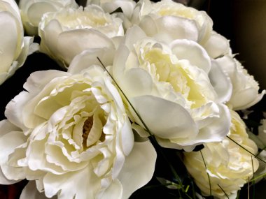 bir buket zarif beyaz bez şakayık