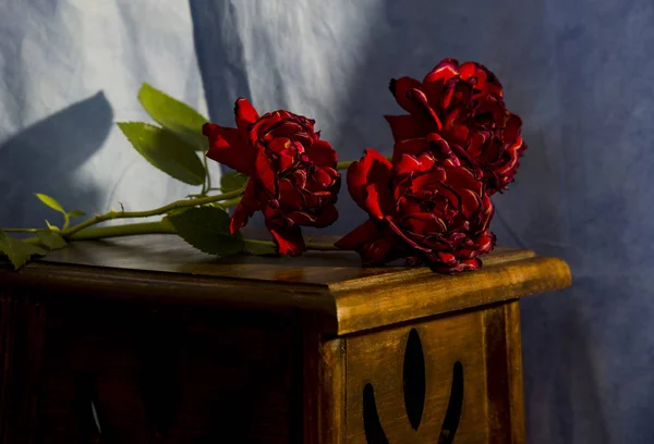 Засохшие Розы Старинном Пьедестале — стоковое фото