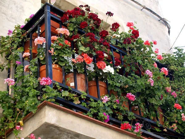 Balcone Andaluso Con Fiori Vasi — Foto Stock