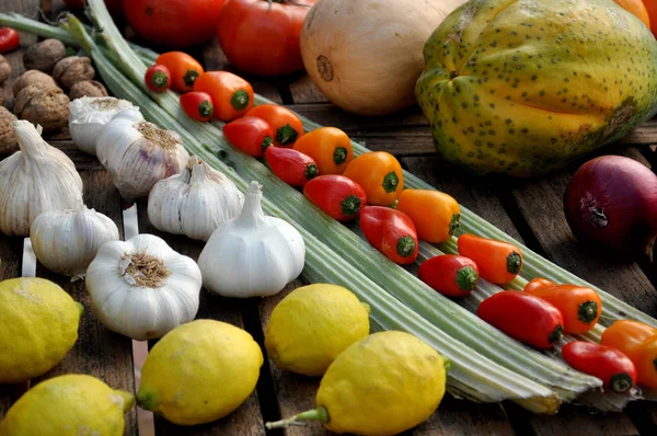 Ряды разноцветных фруктов и овощей — стоковое фото