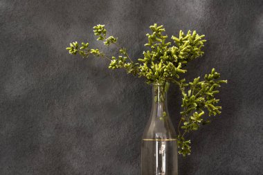 cam kavanozlarda yeşil kekik açan