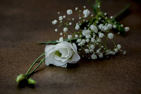 Weiße Lisianthus Blüte Und Paniculata Auf Abstracta Bouquet — Stockfoto