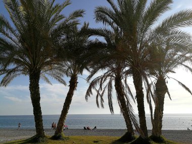 Yaz sonu plajı, La Herradura, Granada (İspanya) 2017.09.20, sadece editoryal kullanım