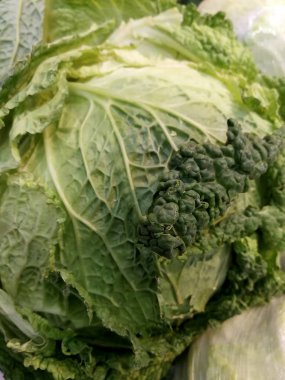 yeşil yaprakları ile lahana