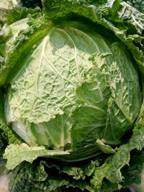 yeşil yaprakları ile lahana