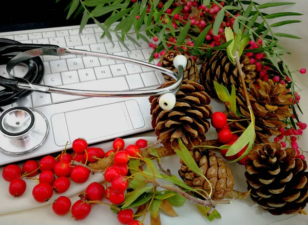 medical christmas cards with berries and pine cones