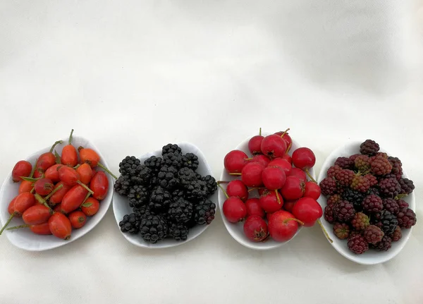 Autumn Berries Small Trays — Stock Photo, Image
