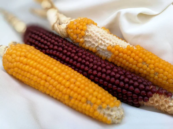 yellow and red corn on white cloth background
