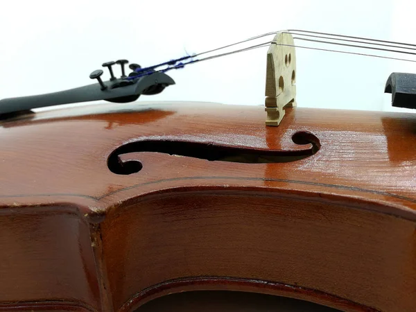 小提琴桥的细节 — 图库照片