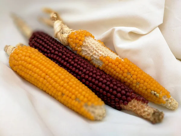 yellow and red corn on white cloth background