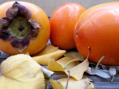 hurma ve kuru yapraklar