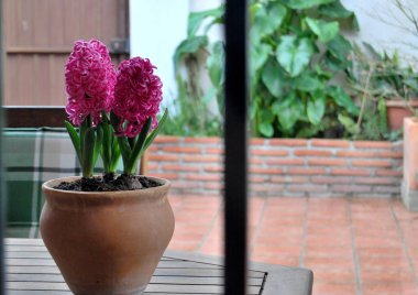 Masa ve tencere ile evin veranda, içeriden görülen