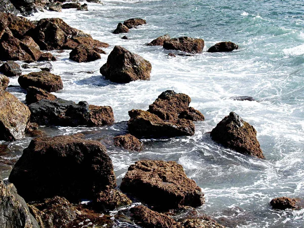 岩と海と波 — ストック写真