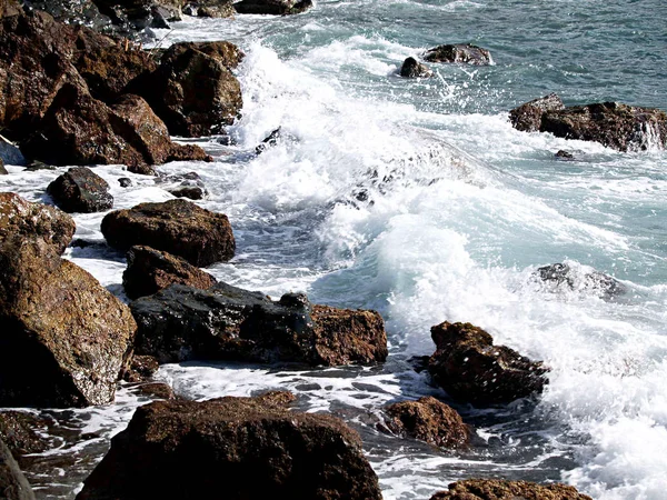 岩と波と海 — ストック写真