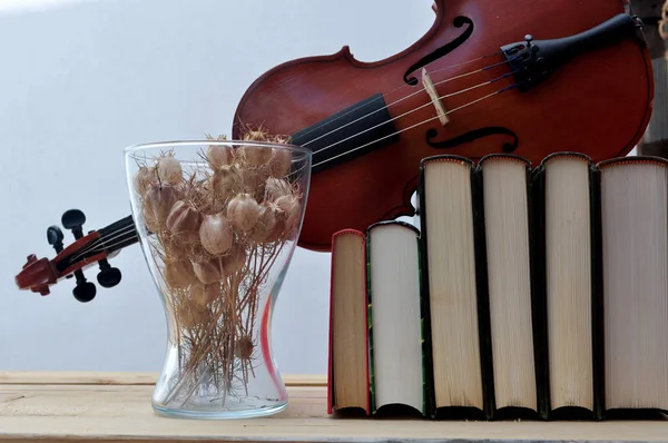 书籍和小提琴 — 图库照片
