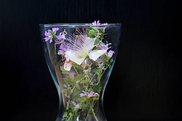 Vaso Com Flores Verão — Fotografia de Stock