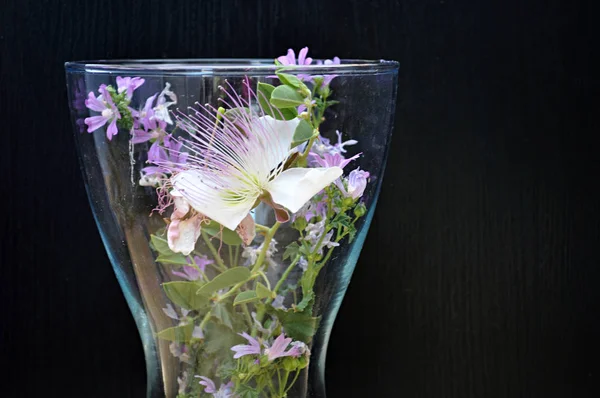 Vaso Com Flores Verão — Fotografia de Stock
