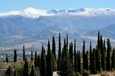 hapları ile soyut tıp