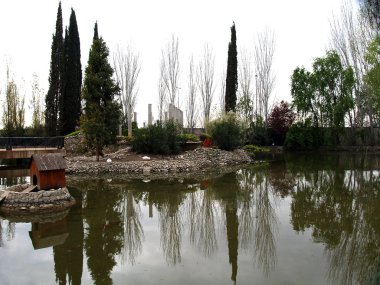 ördekler gölet, göl, kış