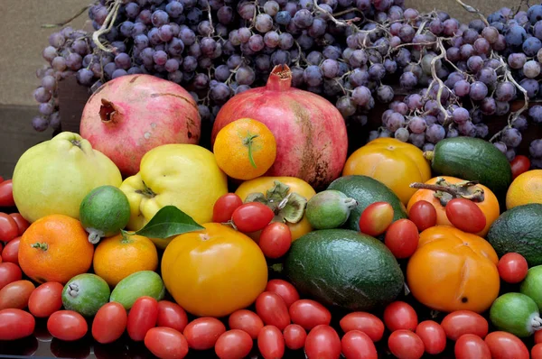 Обилие Осенних Плодов — стоковое фото