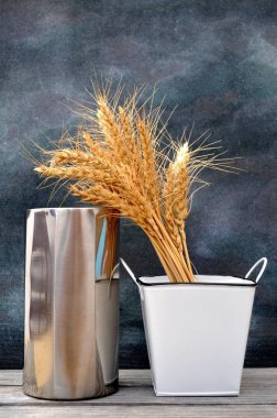 İspanyol ev yapımı kızarmış çörekler