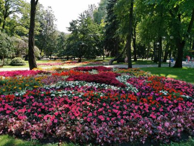Gomel, Beyaz Rusya'da halka açık bir parkta çiçek peyzajı