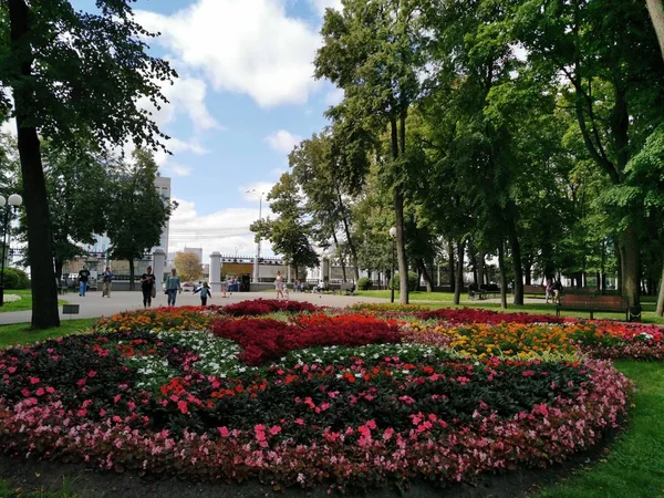 ゴメル ベラルーシの公共庭園の花の組成物 — ストック写真