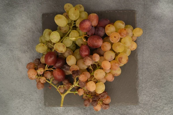 Grappoli Uva Matura Pietra Ardesia Fondo Grigio — Foto Stock