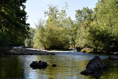 koru ile sakin nehir