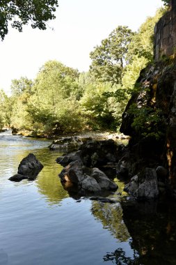 koru ile sakin nehir