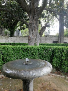 romantik bahçeler Xix yüzyıl