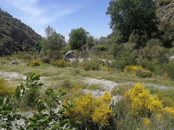 Sur España Primavera Paisaje —  Fotos de Stock